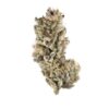 buy black cherry og online