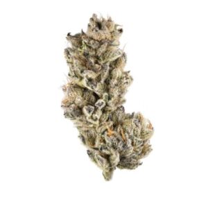 buy black cherry og online