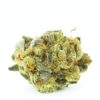 Laughing Buddha strain