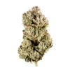GG #4 strain for sale