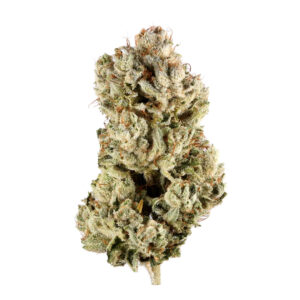 GG #4 strain for sale