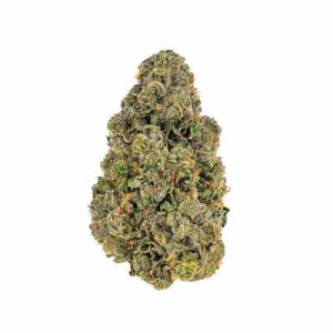 Apple Fritter Strain Genetics