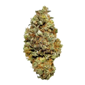 Blue Dream for sale